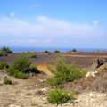 Recoger minerales en la Isla de Elba